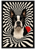 Pawptical Vortex