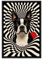 Pawptical Vortex
